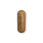 Cordyceps Mushroom Ext.