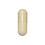 Saw Palmetto