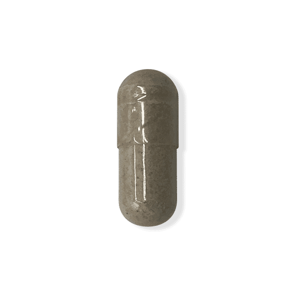 Aloe Vera Plus