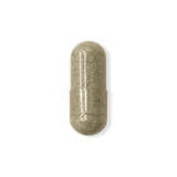 Echinacea