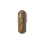 Organic Lion's Mane