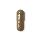 Organic Lion's Mane