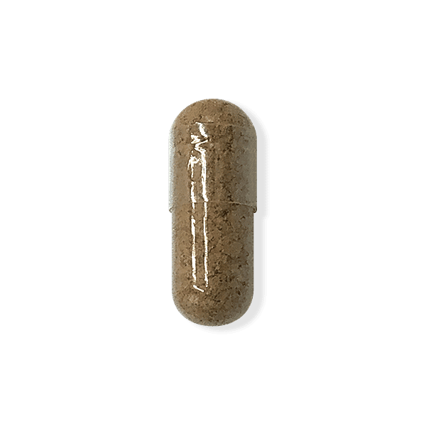 Organic Lion's Mane